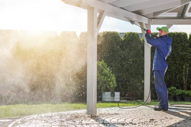 Best Roof Washing  in Willows, CA